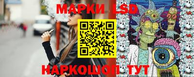 шишки Донской