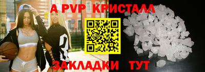 шишки Донской
