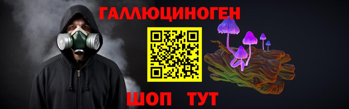 Псилоцибиновые грибы мицелий Красноармейск